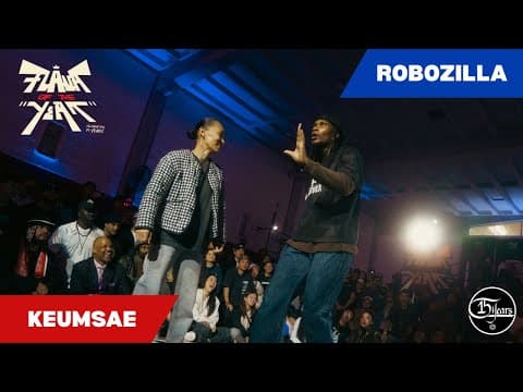 ROBOZILLA vs KEUMSAE