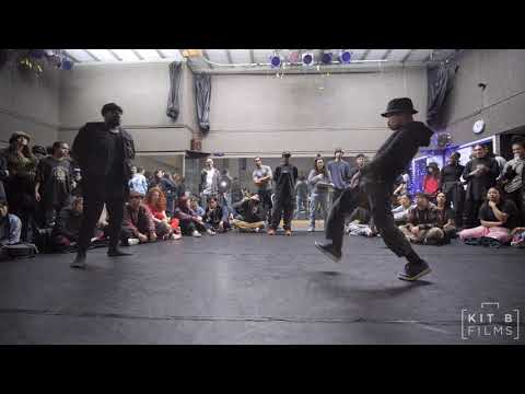 Rhino vs Birung